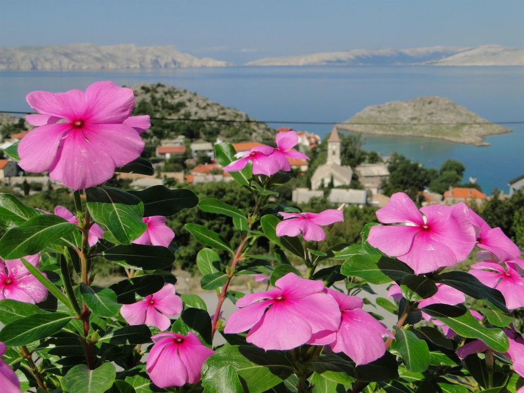 Apartments Marta Sveti Juraj Dış mekan fotoğraf